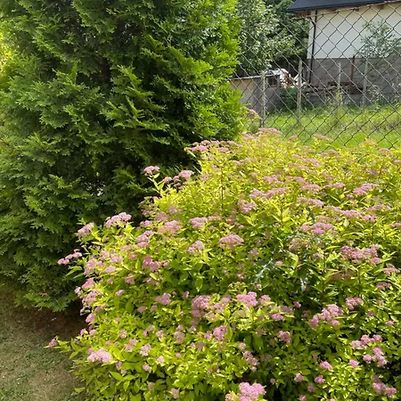 Rum i privatbostad Na Skarpce